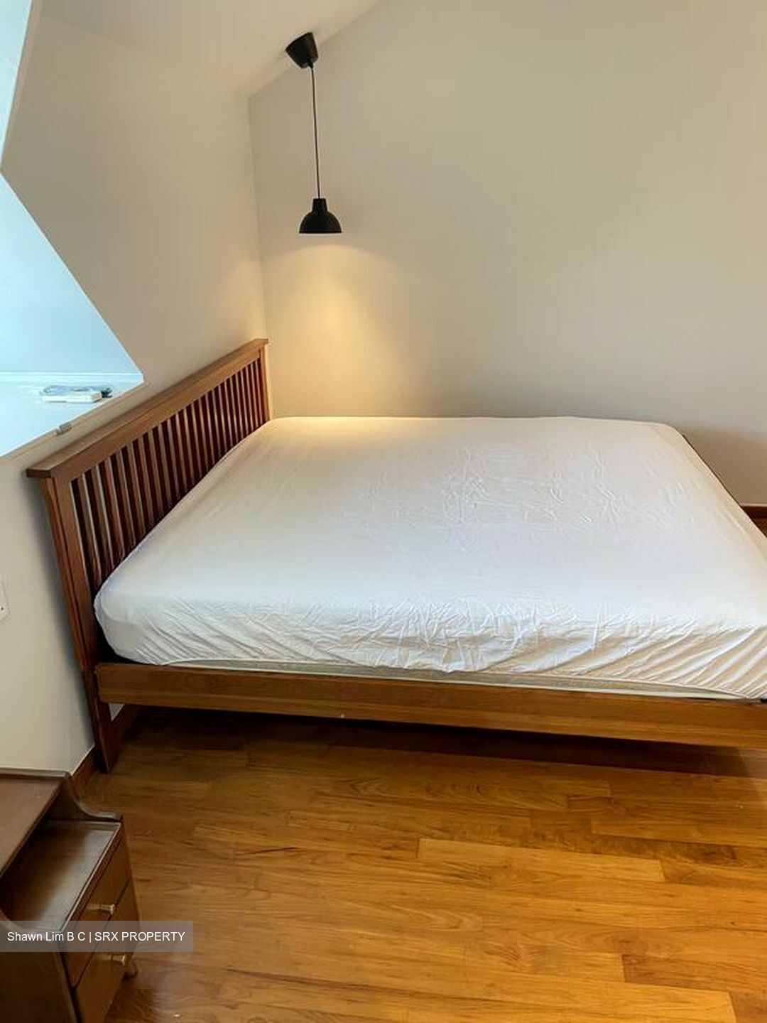 Loft @ Rangoon (D8), Apartment #522548681
